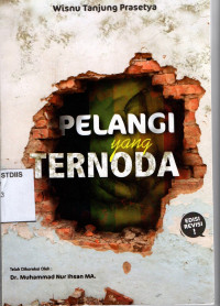Image of Pelangi yang Ternoda Edisi Revisi